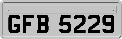 GFB5229
