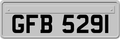 GFB5291