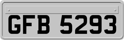 GFB5293