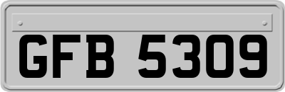 GFB5309