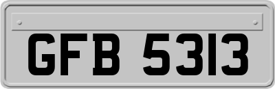 GFB5313