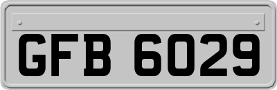 GFB6029