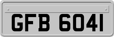 GFB6041