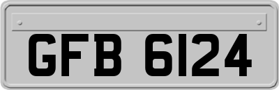 GFB6124