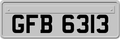GFB6313