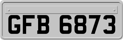 GFB6873