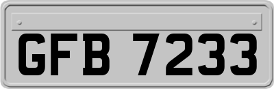 GFB7233