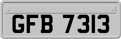 GFB7313
