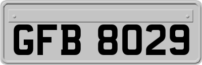 GFB8029
