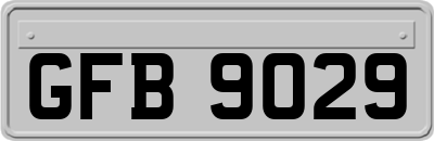 GFB9029