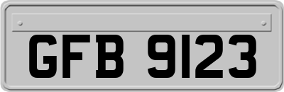 GFB9123