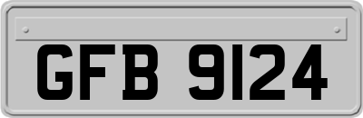 GFB9124
