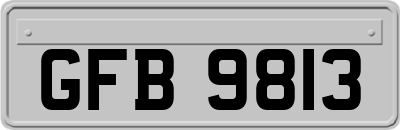GFB9813