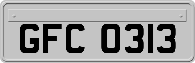 GFC0313