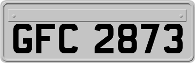 GFC2873