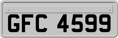 GFC4599