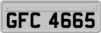 GFC4665