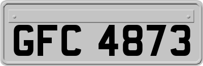 GFC4873
