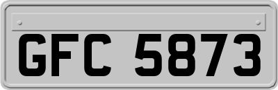 GFC5873