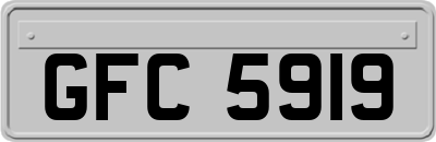 GFC5919