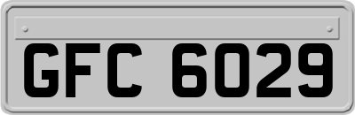 GFC6029