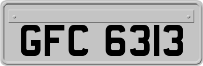 GFC6313