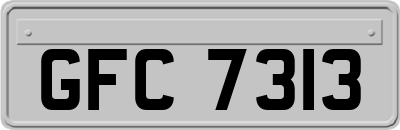 GFC7313