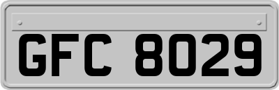 GFC8029