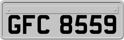 GFC8559
