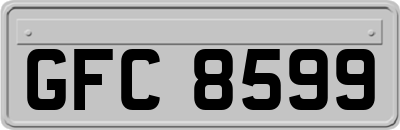 GFC8599