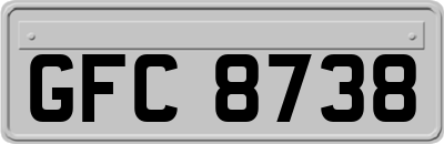GFC8738