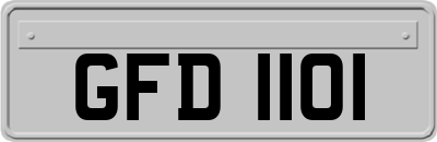 GFD1101