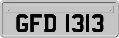 GFD1313
