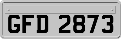 GFD2873