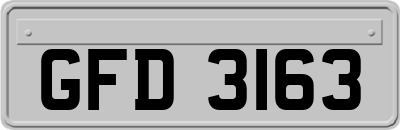 GFD3163