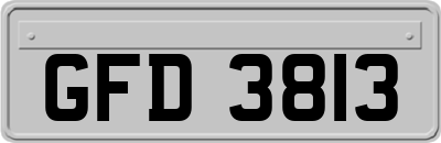 GFD3813