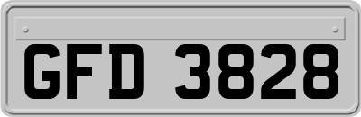 GFD3828