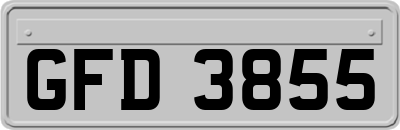 GFD3855