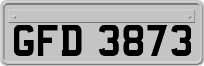 GFD3873