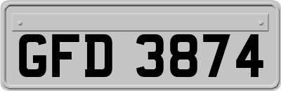 GFD3874