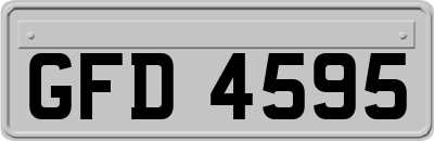 GFD4595