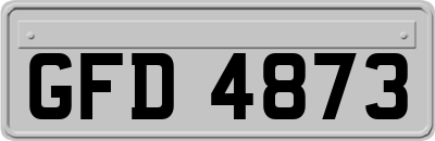 GFD4873
