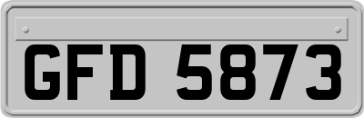 GFD5873