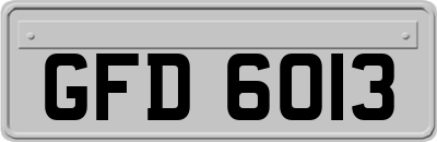 GFD6013