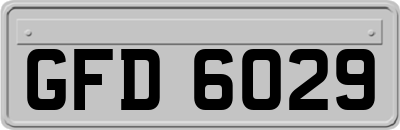 GFD6029