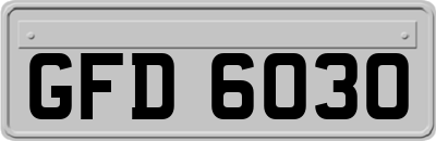 GFD6030