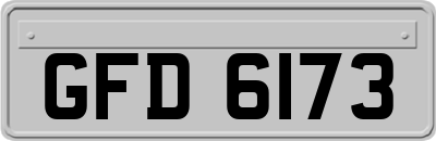 GFD6173
