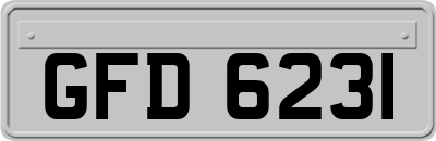 GFD6231