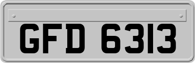 GFD6313