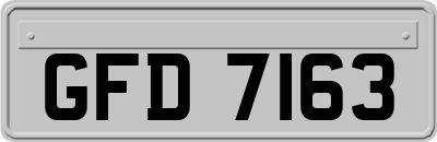 GFD7163
